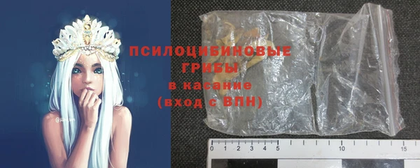 гашик Алексин