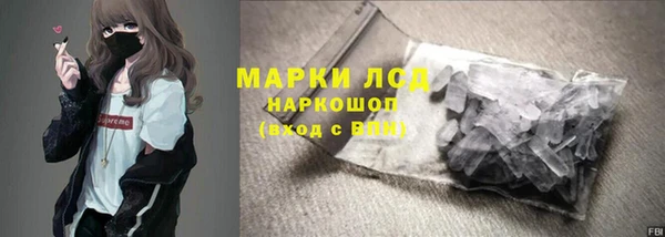 PSILOCYBIN Алзамай