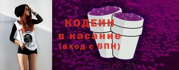 гашик Алексин