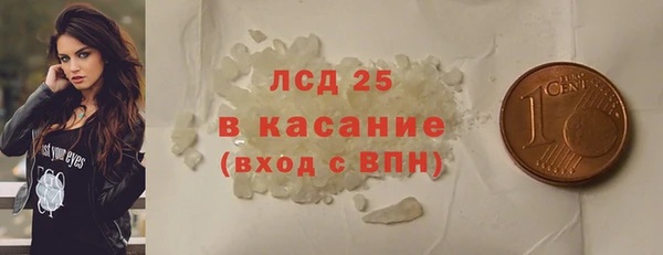 PSILOCYBIN Алзамай