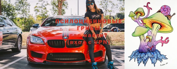 шишки Алексеевка