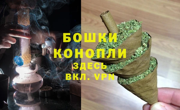 шишки Алексеевка