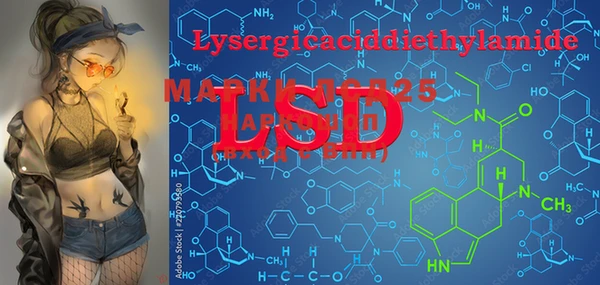 PSILOCYBIN Алзамай