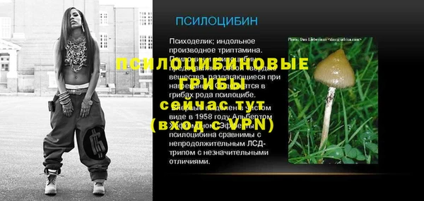 гашик Алексин