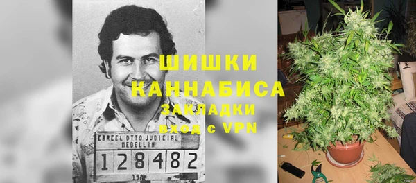 шишки Алексеевка