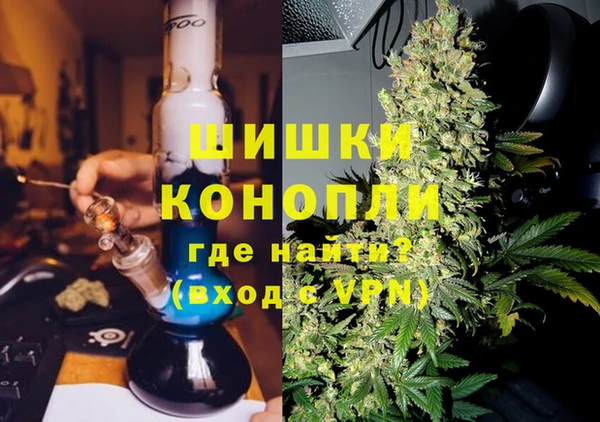 гашик Алексин