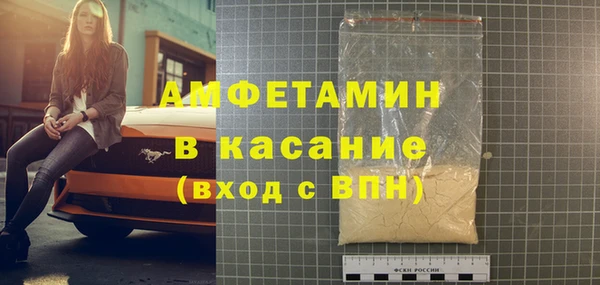 гашик Алексин