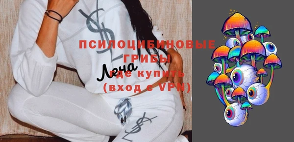 PSILOCYBIN Алзамай