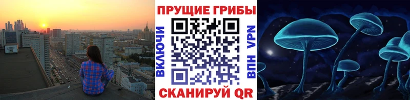 Псилоцибиновые грибы Psilocybe  маркетплейс Telegram  Белоярский 